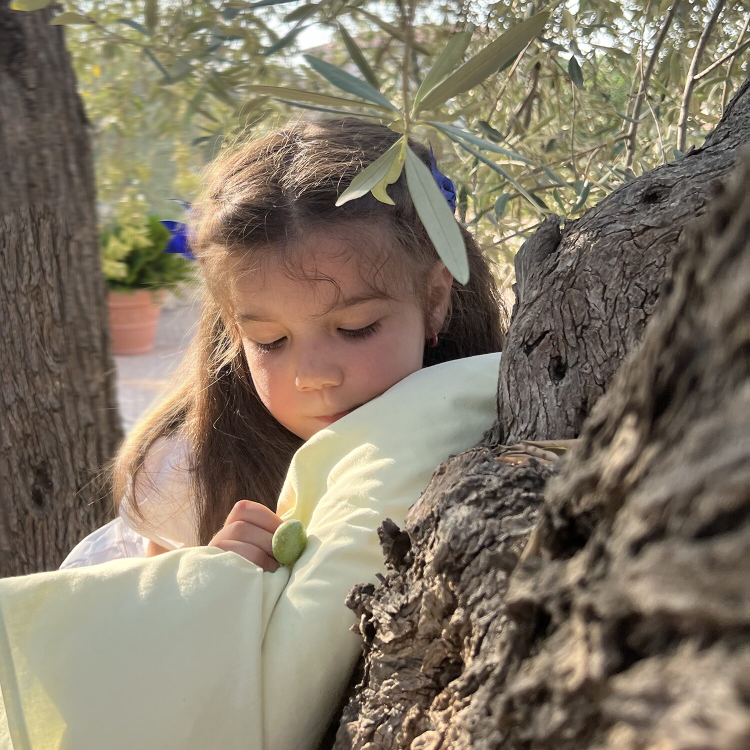 Bambina abbracciata a un cuscino verde chiaro mentre è appoggiata a un tronco d'albero, tenendo in mano un'oliva. Lo sguardo è rivolto verso il basso, circondata da foglie di ulivo. La scena è all'aperto, in un contesto naturale e sereno.